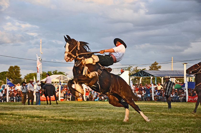Todo listo para lo que será el II Festival del Asado Criollo