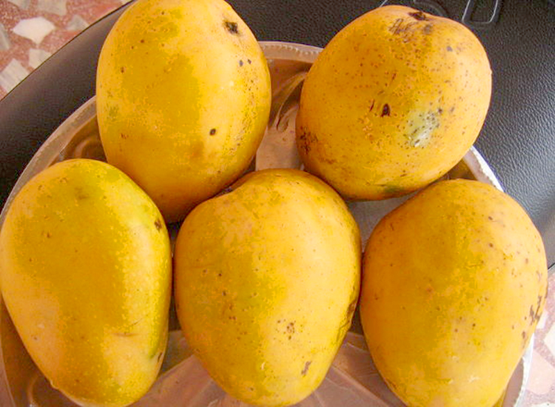 El mango, recomendada por nutricionistas