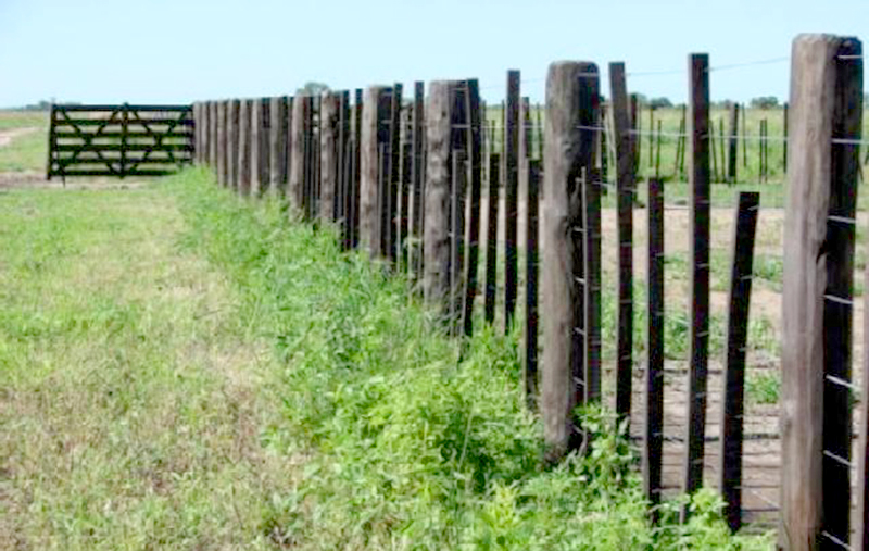 Llevan adelante proyecto para recuperación de suelos en el Oeste provincial