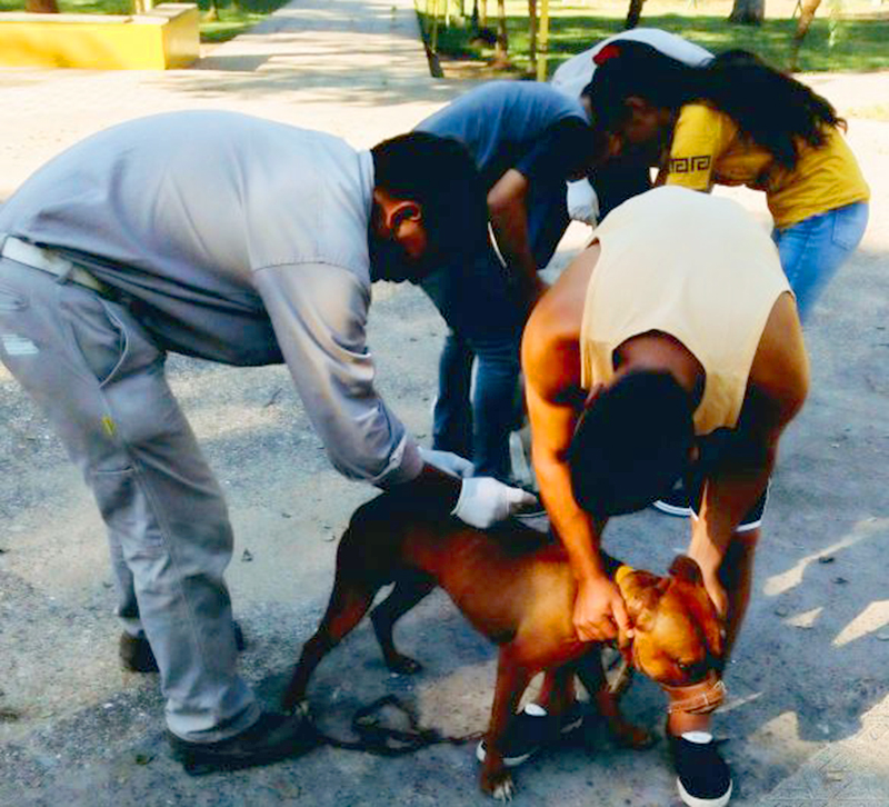 Desde Salud recuerdan la importancia de controlar y vacunar a las mascotas