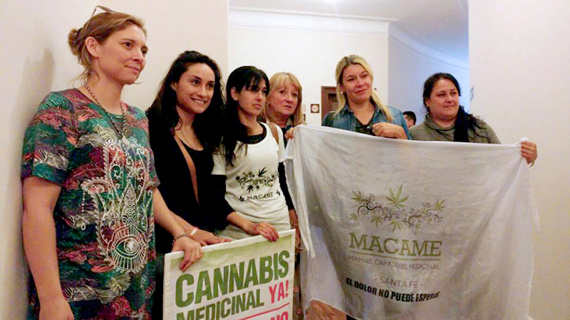 Santa Fe espera respuesta de Anmat para producir cannabis medicinal