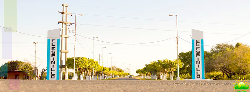 Atractiva movida cultural veraniega en El Espinillo