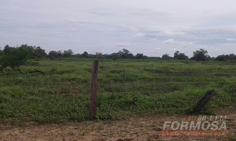 Recuperan suelos degradados en el extremos oeste