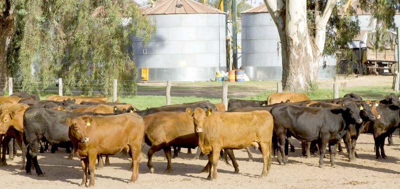 RENSPA: 100 % autogestión