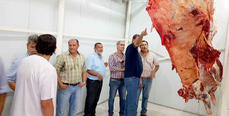 Verifican creciente faena en matadero habilitado en el norte provincial