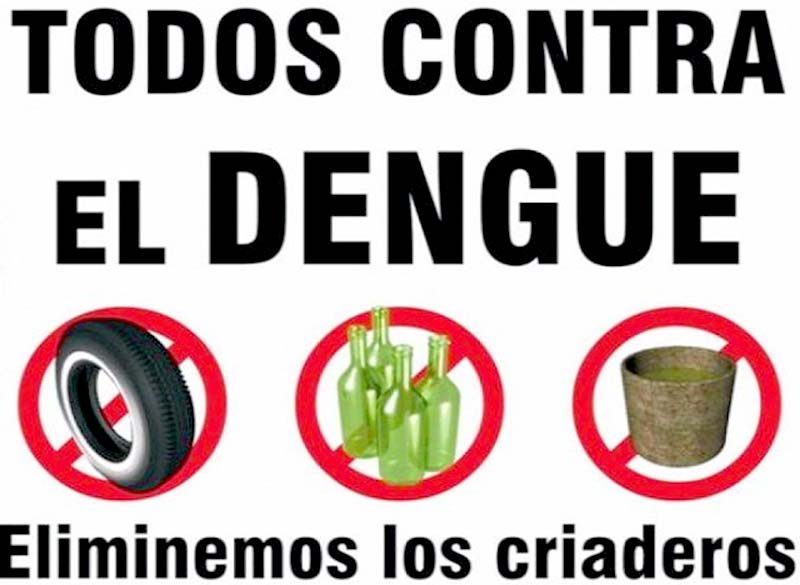 Continúan las acciones de prevención contra el dengue