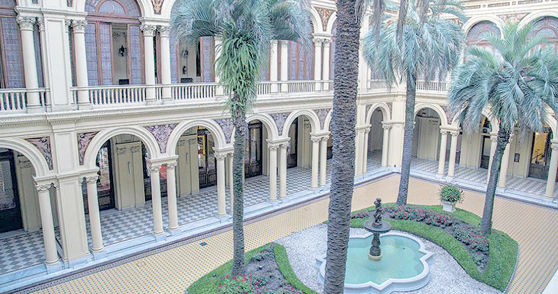 La palmera por cuyo reemplazo el Gobierno pagó 235.950 pesos pudo haberse salvado