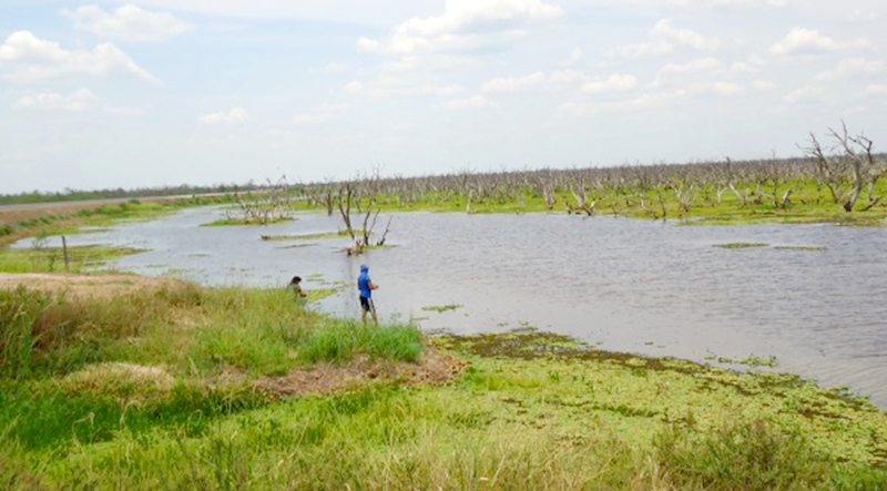 Ya ingresa agua al sistema del rio del Norte a partir de El Descanso