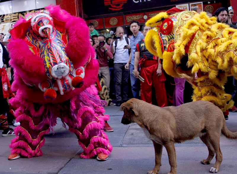 El año nuevo chino da la bienvenida al 4716