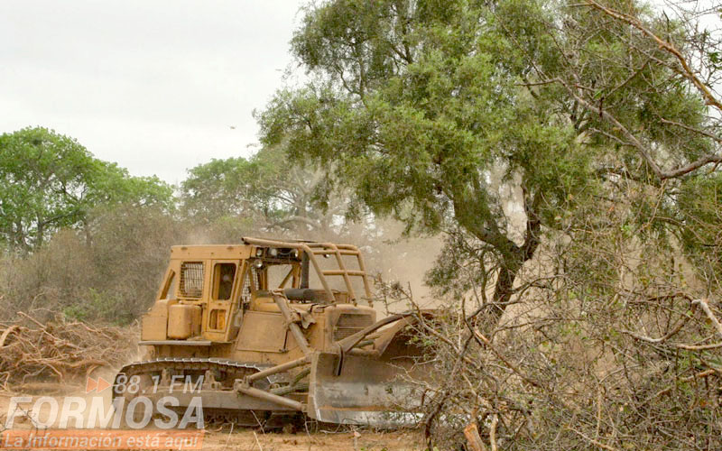 Chaco frenó la deforestación y cumple con las reglas de juego de la Ley de Bosques Nativos