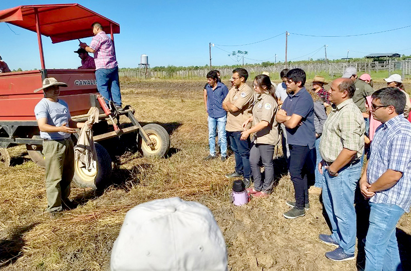 Encuentro para promover la producción de pasturas en ambientes bajos de la zona norte