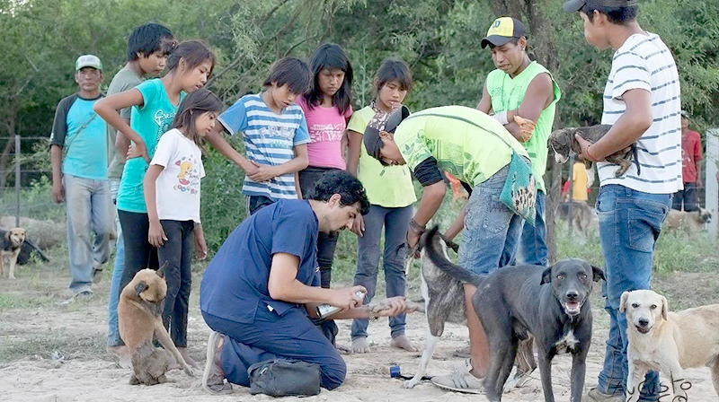 Nelly, la mujer que se enfrentó a la crecida del Pilcomayo para salvar a los animales