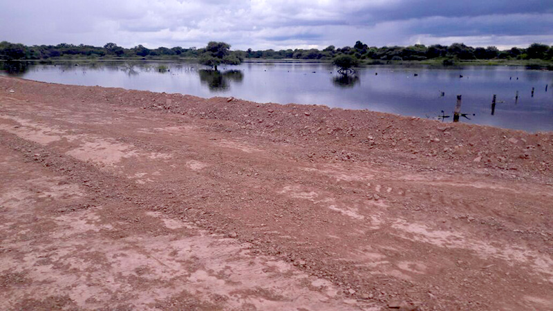 El bañado La Estrella crece y obliga a familias relocalizarse en zonas elevadas