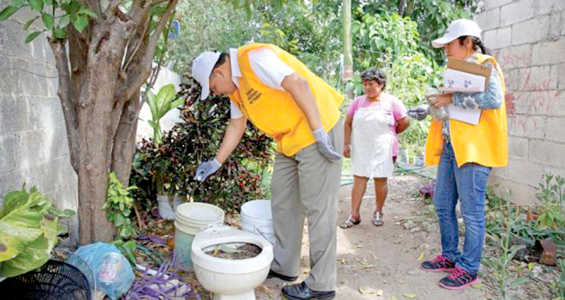 Eliminar al aedes es un trabajo de todos