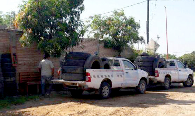 Domingo de más prevención contra el aedes en el interior