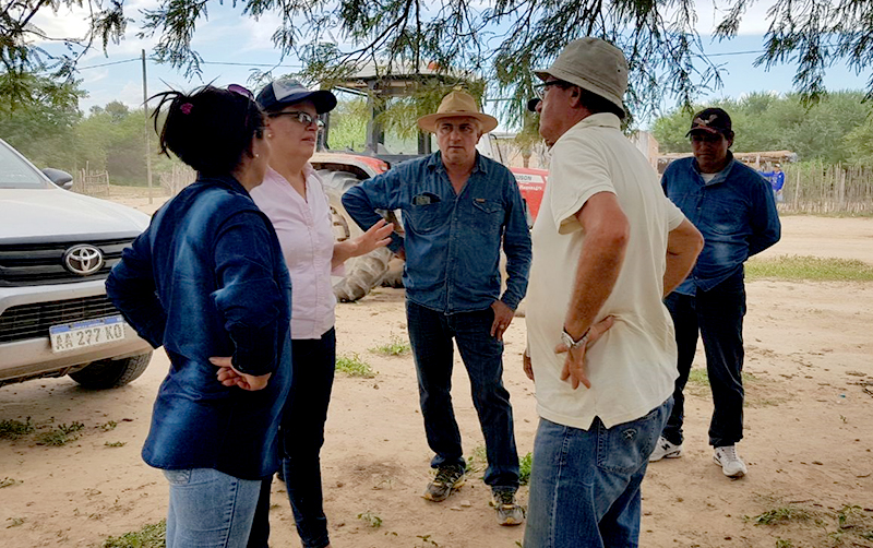 Educación prepara de manera especial el inicio de clases en un oeste en emergencia