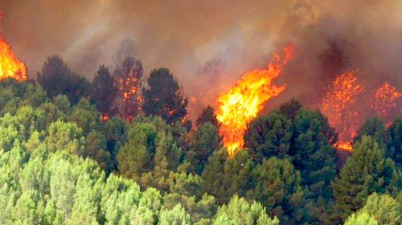 Incendio en Sierra de la Ventana: más de 4 mil hectáreas afectadas