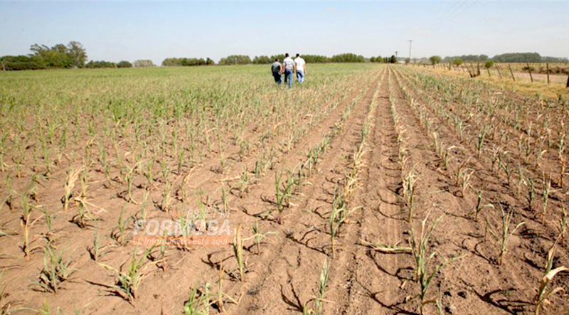 Advierten que está en riesgo la cadena de pagos en el agro por la sequía