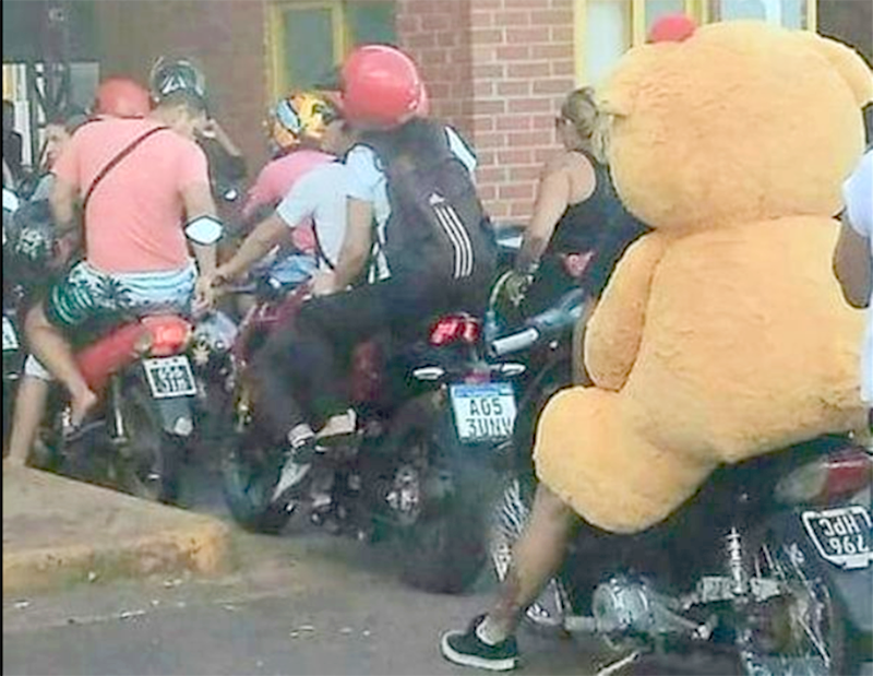 El oso de peluche que “cruzó” en moto en la frontera en Misiones y se volvió viral