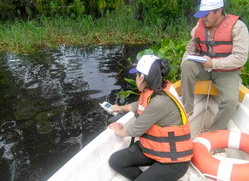 Insisten en que la muerte de peces obedece a un fenómeno natural