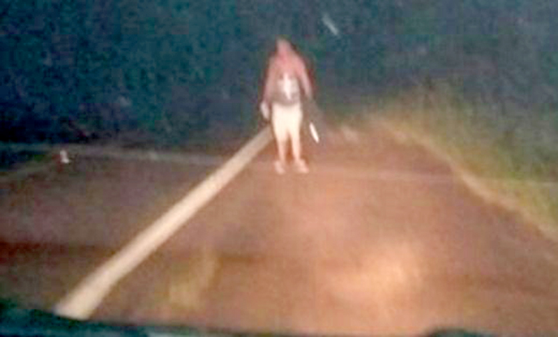 Regresaban de las vacaciones en Brasil y se olvidaron a su amigo en la ruta