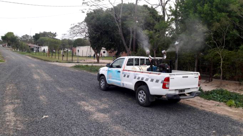 Contra el aedes en el interior