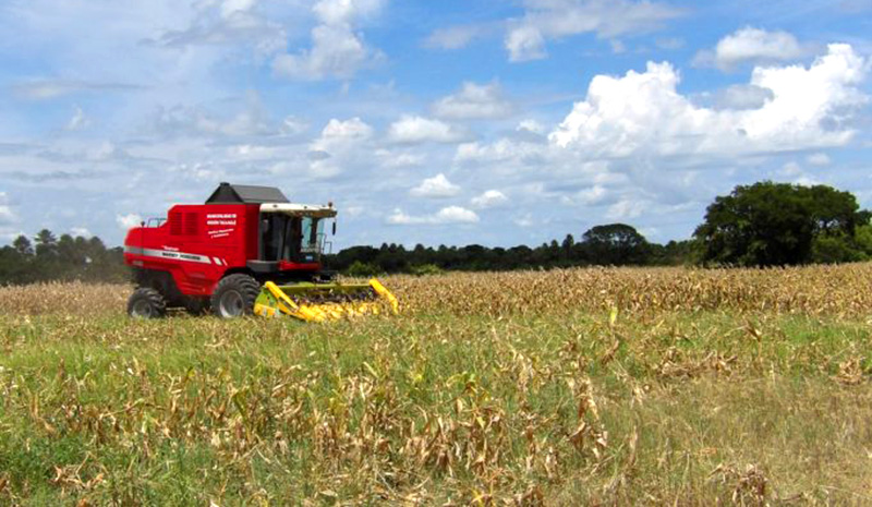 Formosa superaría el millón de hectáreas cultivadas entre la agricultura y pasturas