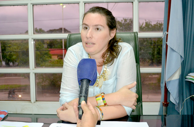 Villarruel: “Recibimos alrededor de 60 consultas diarias por el servicio de energía eléctrica”