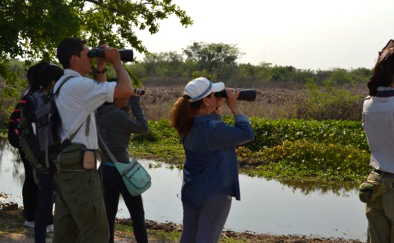 Importante charla sobre observaciones de aves