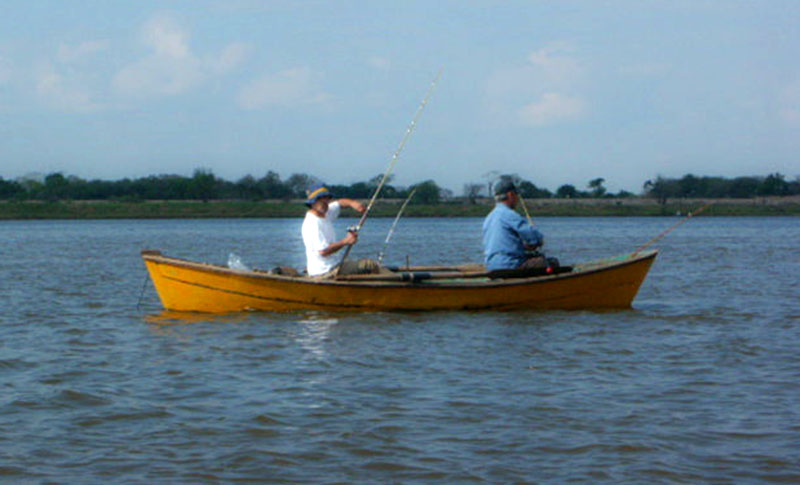 Fuertes controles para combatir la pesca ilegal