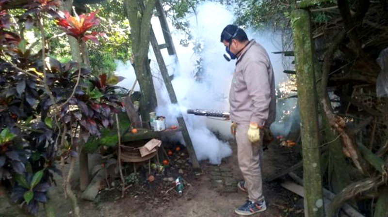 Dengue: Tareas en varios barrios y espacios públicos de la ciudad