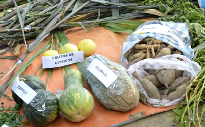 El estado provincial acentúa apoyo a una creciente producción de granja