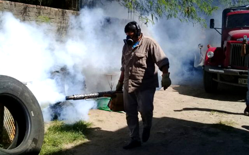 Dengue: Acciones para liberar los espacios de criaderos de mosquitos