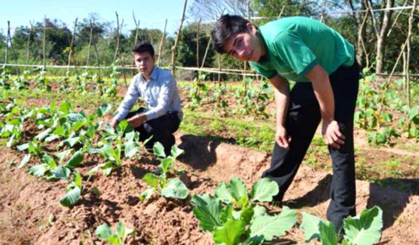 Muestreo del proyecto “Huertas Escolares”