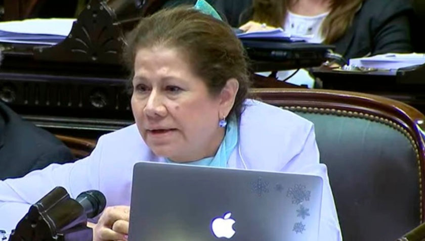 Graciela Camaño: “El presupuesto está plagado de mentiras e ineficacia”