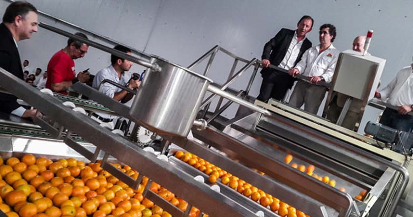 Exportadores de cítricos de Corrientes, en crisis por la caída de las ventas externas