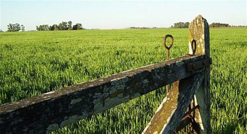 Bienes Personales: finalmente, los inmuebles rurales quedaron exentos del impuesto