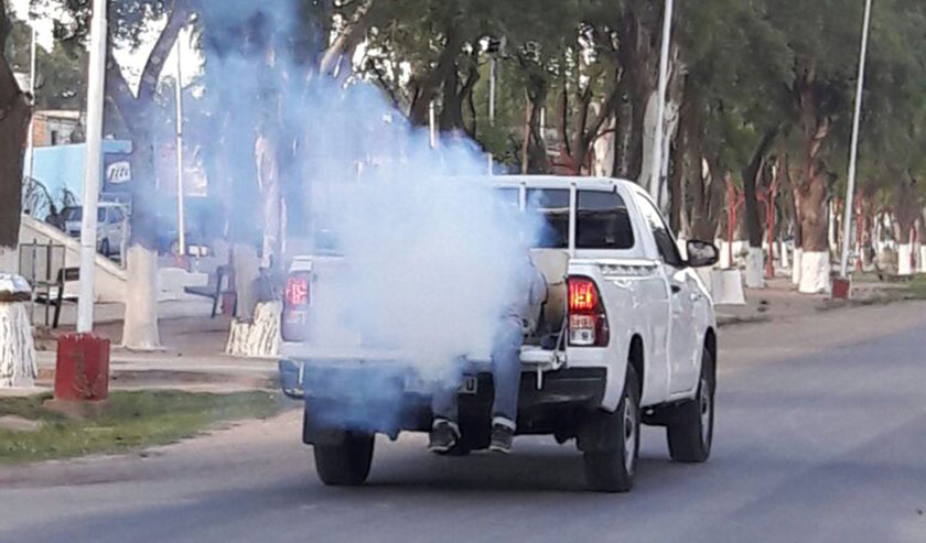 Contra el aedes en el interior