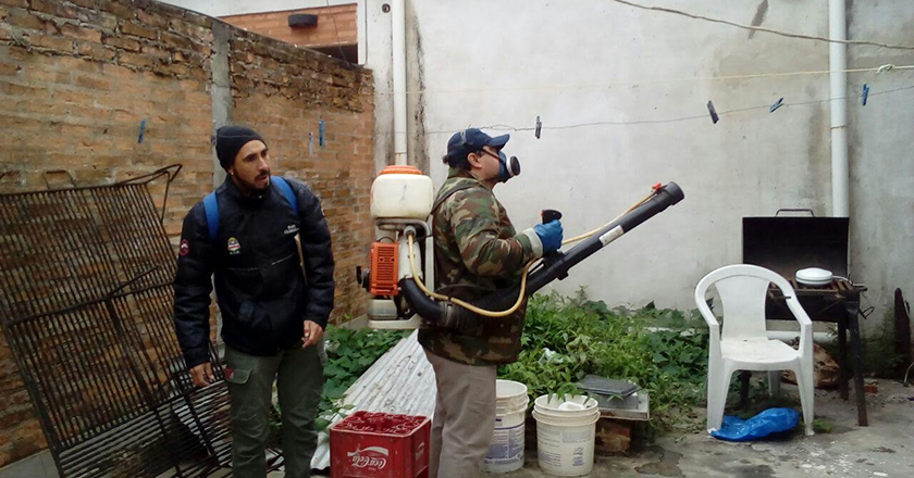 Aedes aegypti: eliminando criaderos evitamos enfermedades