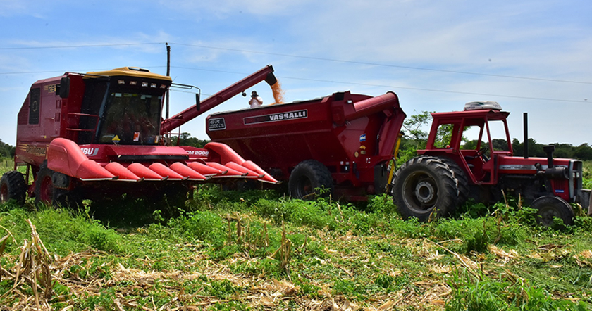 El gobierno provincial financia con más de $17 millones a segmentos agrícolas