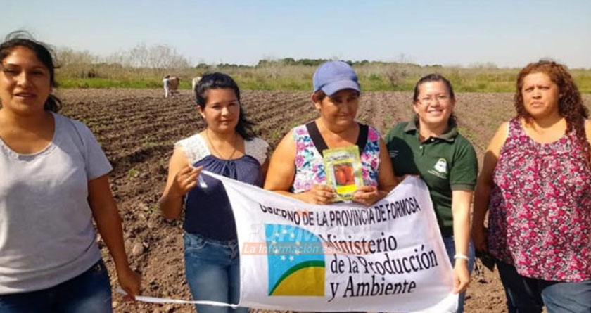 El Gobierno de Formosa continúa con el acompañamiento integral a productores paipperos