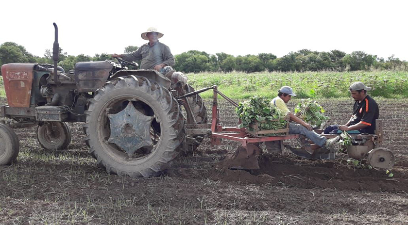 Sigue el apoyo tecnológico a los pequeños productores