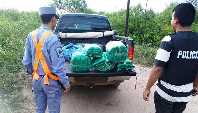 Durante operativos en la Ruta 81, la Policía incautó dólares falsos y más de 36 kilos de hojas de coca