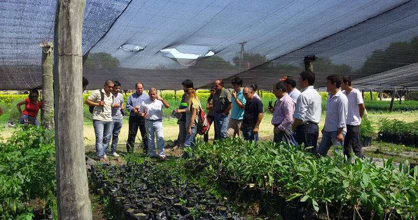 Desde Producción y Ambiente expusieron acciones en resguardo de bosques nativos