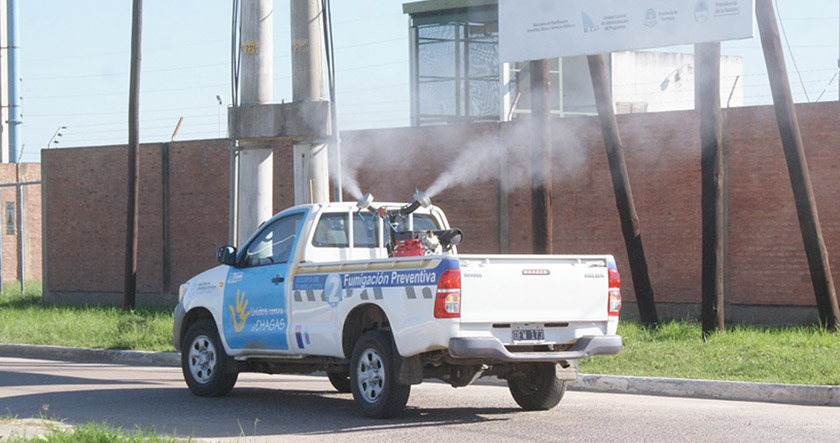 Tareas preventivas contra el dengue
