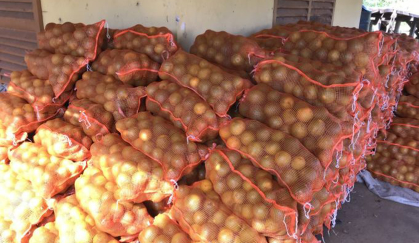 El plan NUTRIR recibió 24 mil kilos de cítricos del CEDEVA de Tacaaglé