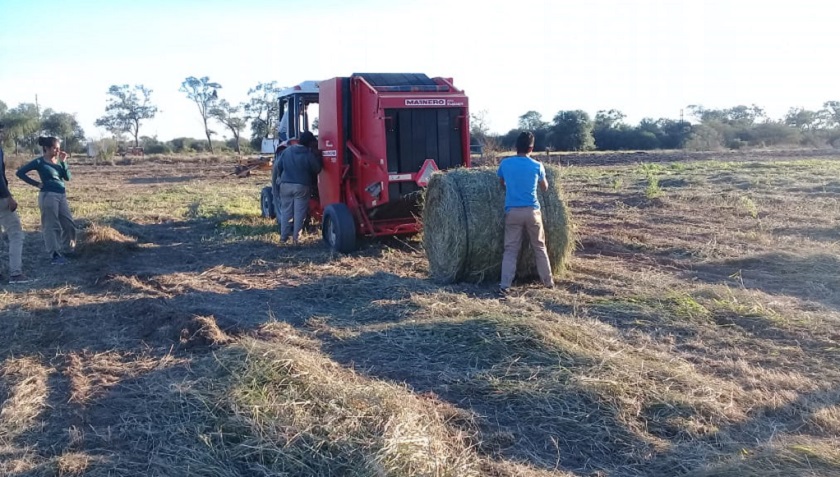 Formación en henificación a estudiantes de zonas rurales