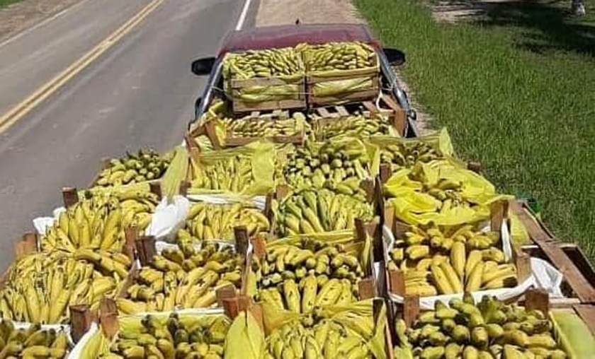 Murdoch valoró el apoyo provincial a los pequeños productores