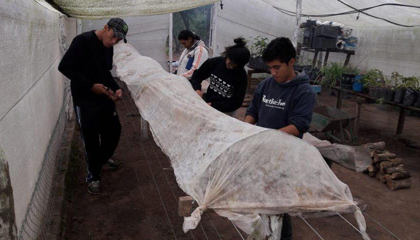 Exponen aspectos propios a la enseñanza en los doce colegios agro técnicos en la provincia