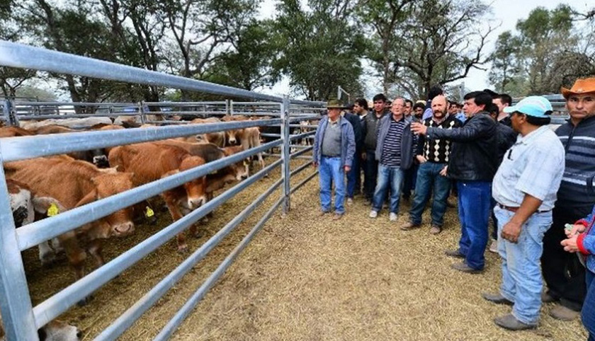 Brindarán apoyo a productores de Ramón Lista para nuevo remate